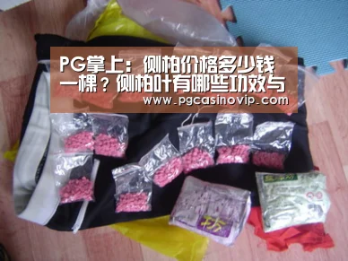 PG掌上