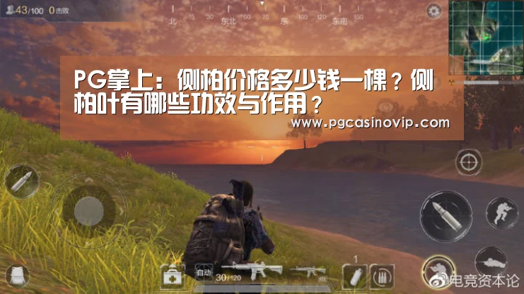 PG电子