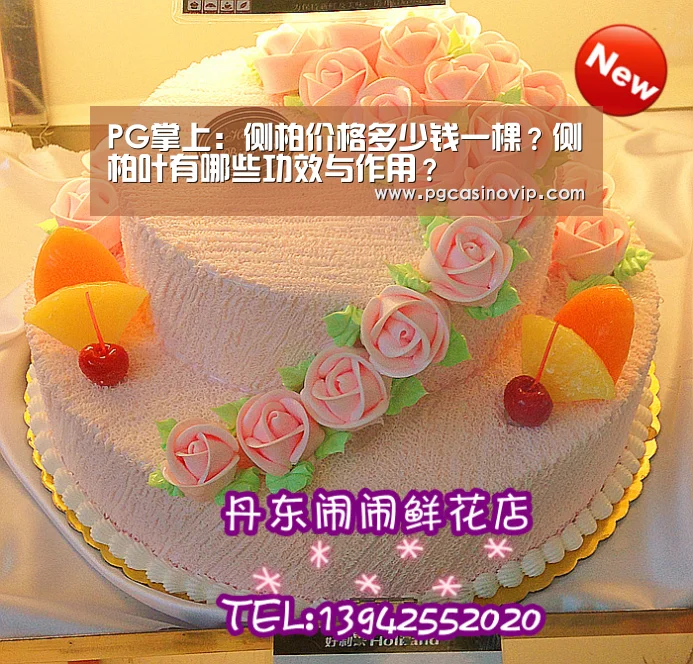 PG掌上：侧柏价格多少钱一棵？侧柏叶有哪些功效与作用？(图2)