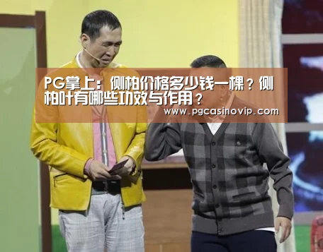 PG电子