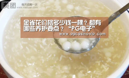 金雀花价格多少钱一棵？都有哪些养护要点？“PG电子”(图1)