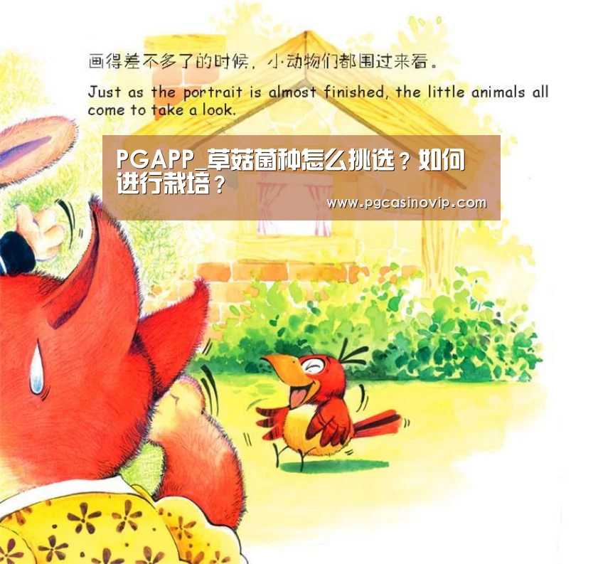 PGAPP_草菇菌种怎么挑选?如何进行栽培?(图1) PG下载