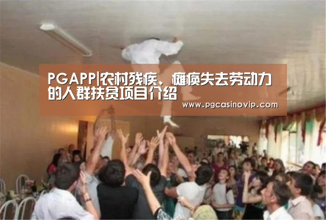 PGAPP|农村残疾、瘫痪失去劳动力的人群扶贫项目介绍(图1) PG电子