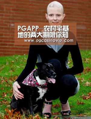PG电子