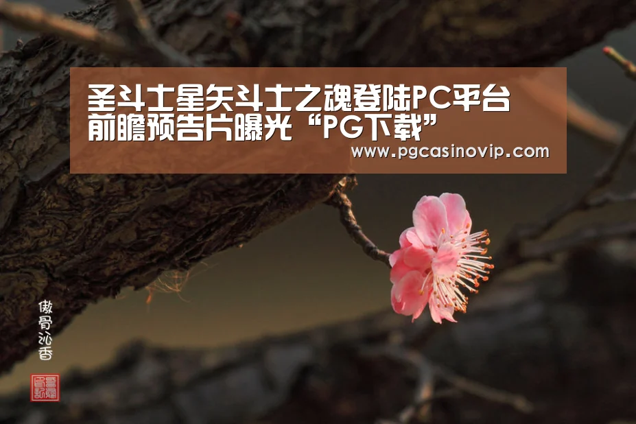 圣斗士星矢斗士之魂登陆PC平台 前瞻预告片曝光“PG下载”(图2)