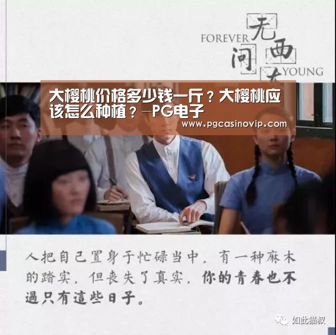 PG电子