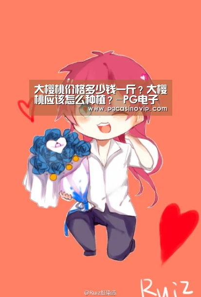 PG掌上