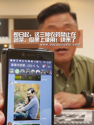 PG下载