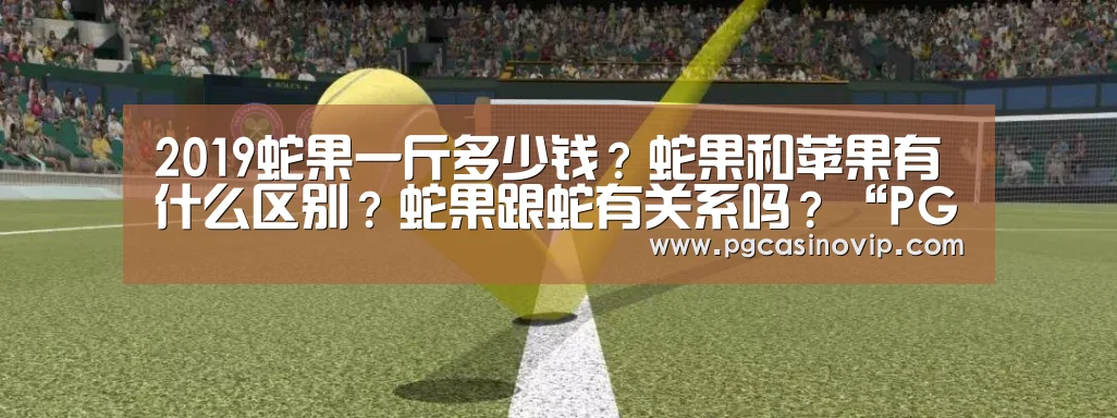 PG掌上