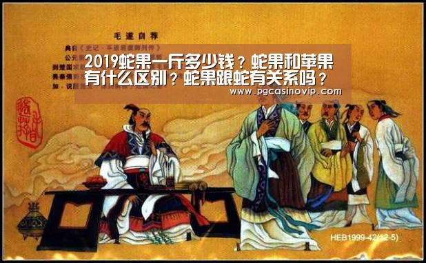 PG下载
