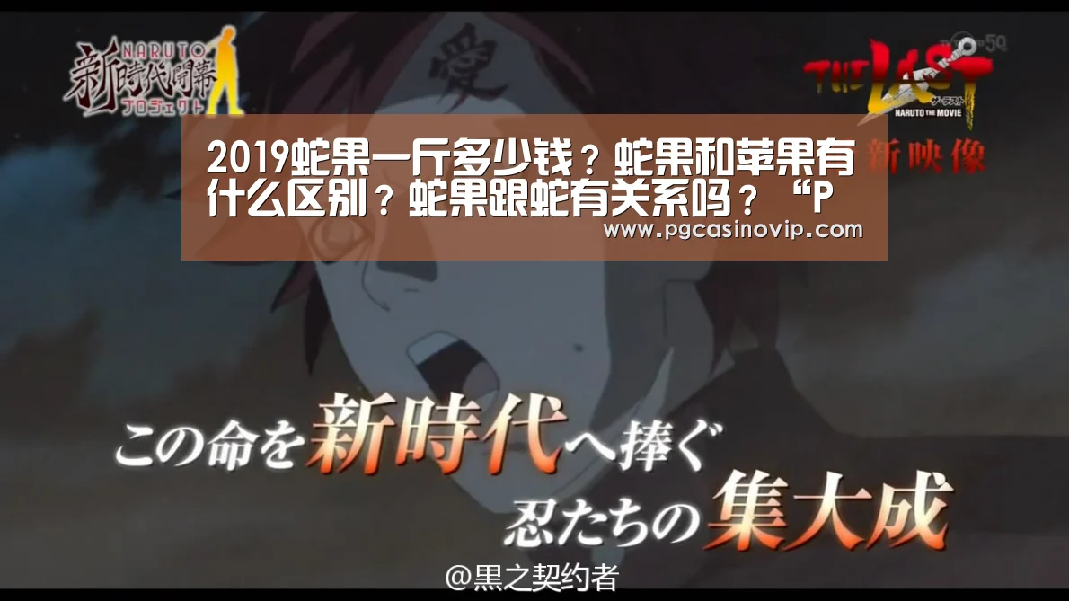 PG掌上