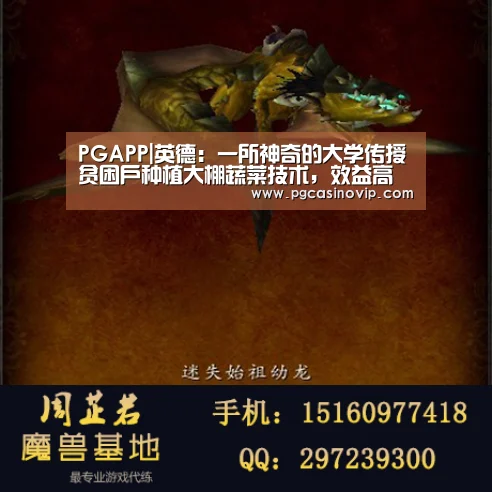 PGAPP|英德:一所神奇的大学传授贫困户种植大棚蔬菜技术,效益高回报快(图2) PGAPP|英德:一所神奇的大学传授贫困户种植大棚蔬菜技术,效益高回报快(图2)