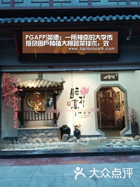 PGAPP|英德:一所神奇的大学传授贫困户种植大棚蔬菜技术,效益高回报快(图4) PG电子