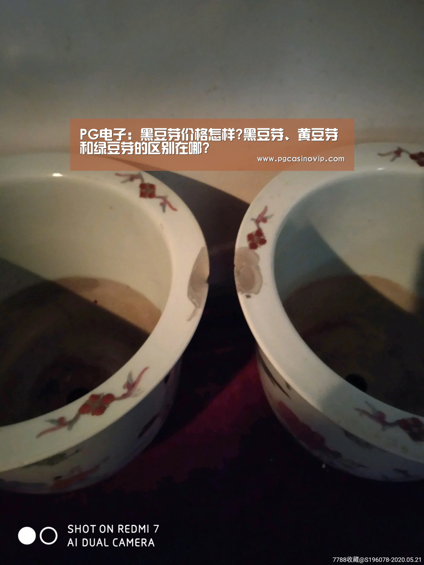 PG电子:黑豆芽价格怎样?黑豆芽、黄豆芽和绿豆芽的区别在哪?(图4) PG电子:黑豆芽价格怎样?黑豆芽、黄豆芽和绿豆芽的区别在哪?(图4)