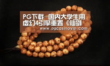 PG下载