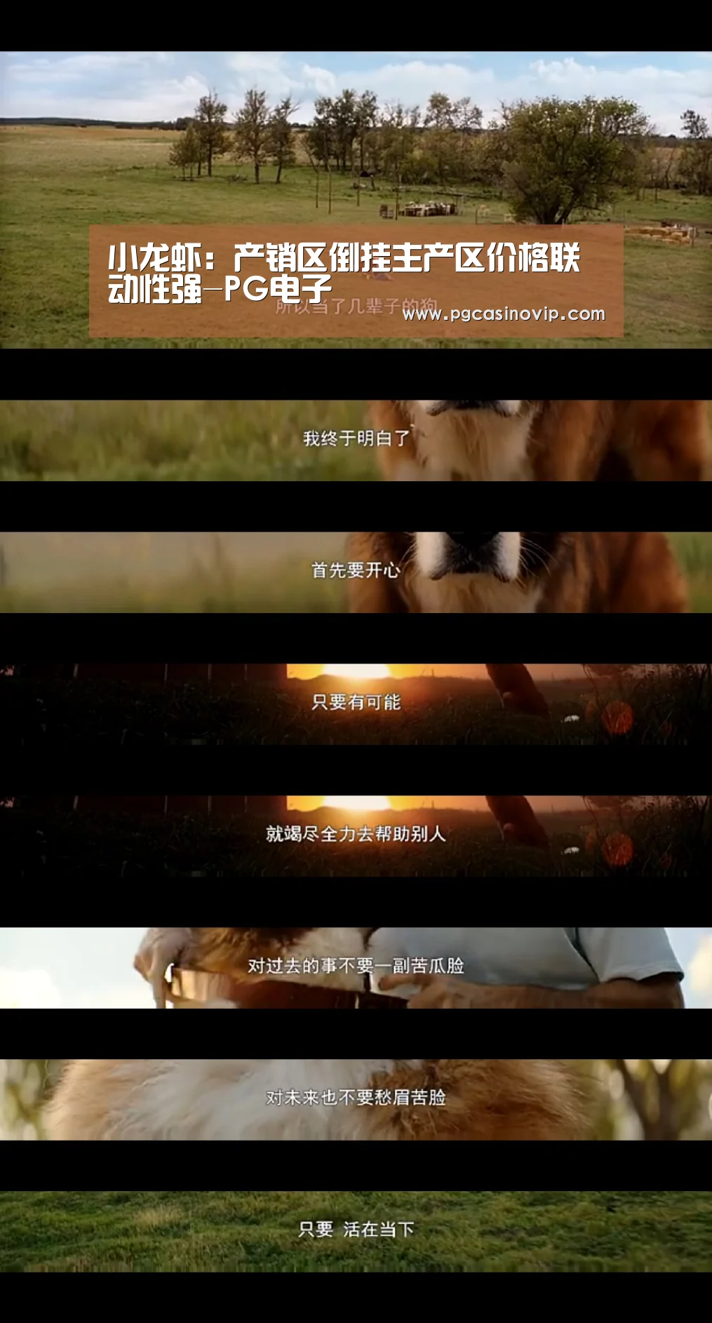 小龙虾:产销区倒挂主产区价格联动性强-PG电子(图1) 小龙虾:产销区倒挂主产区价格联动性强-PG电子(图1)