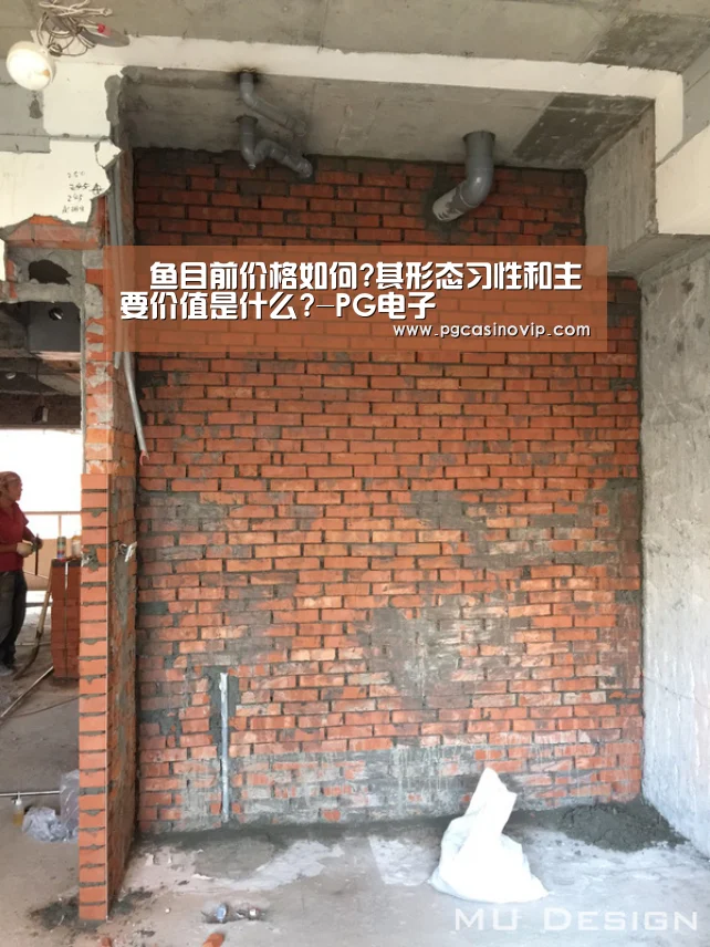 鮠鱼目前价格如何?其形态习性和主要价值是什么?-PG电子(图2)