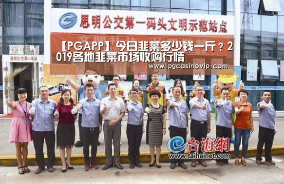 PG下载