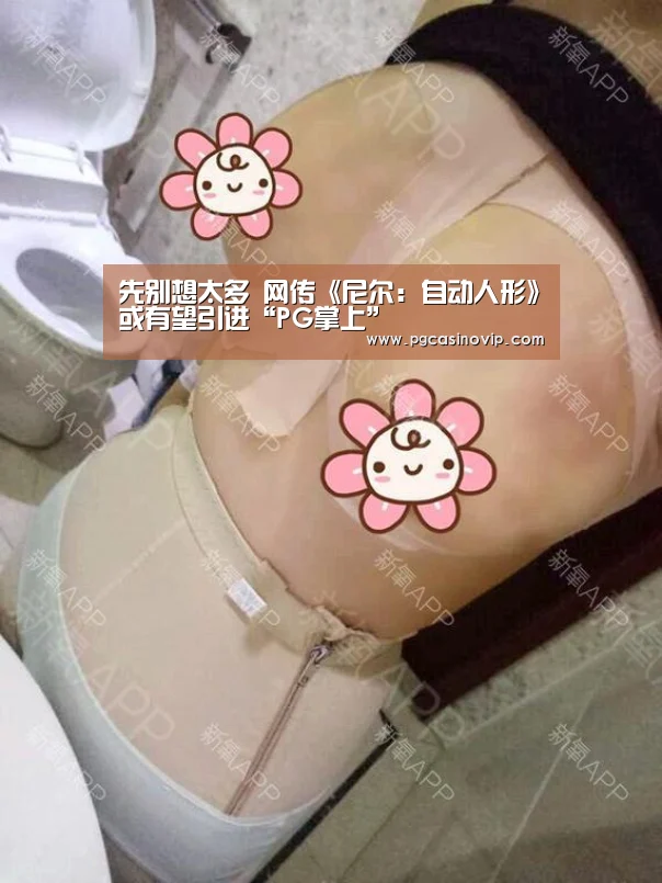 PG下载