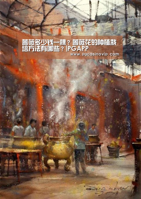 蔷薇多少钱一棵?蔷薇花的种植栽培方法有哪些?|PGAPP(图2) PG电子
