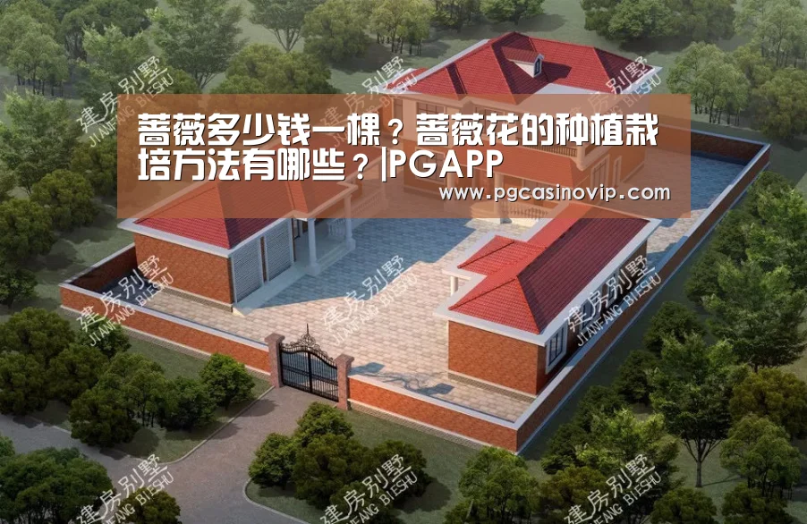 蔷薇多少钱一棵?蔷薇花的种植栽培方法有哪些?|PGAPP(图3) PG掌上