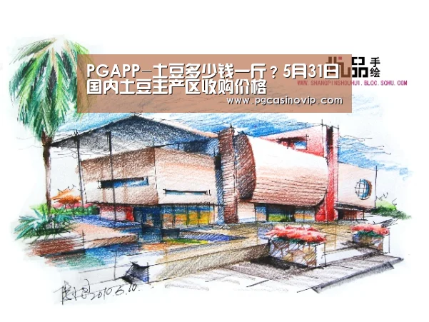 PGAPP-土豆多少钱一斤?5月31日国内土豆主产区收购价格(图1) PG掌上