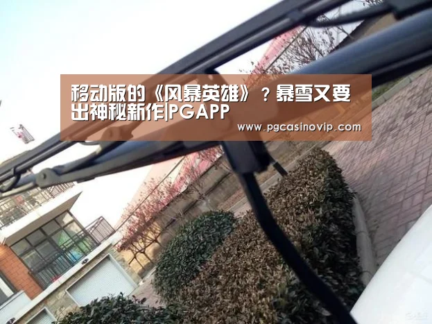 移动版的《风暴英雄》?暴雪又要出神秘新作|PGAPP(图1) PG电子
