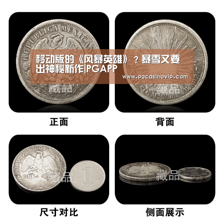 移动版的《风暴英雄》?暴雪又要出神秘新作|PGAPP(图2) PG掌上
